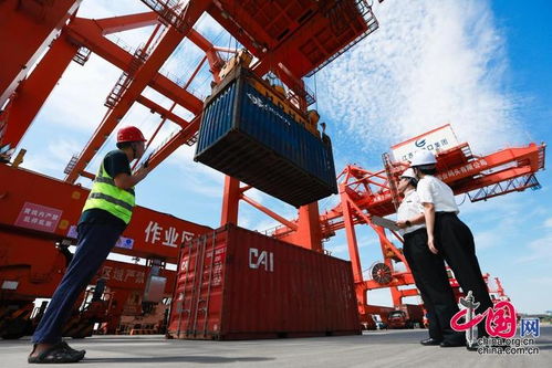 高质量发展看海关 智慧海关建设助力进出口货物跑出“加速度”