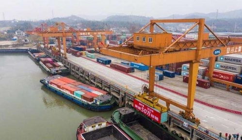 经济复苏强劲 货物进出口同比增长10.4%，未来势头能否持续？