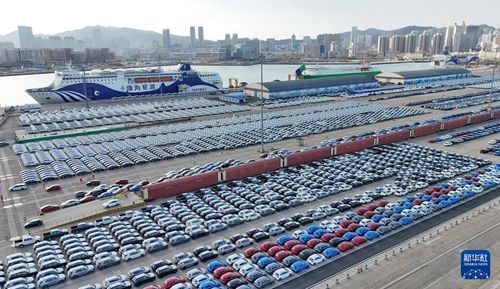 我国货物贸易进出口连续10个月保持增长 展现强劲韧性与活力