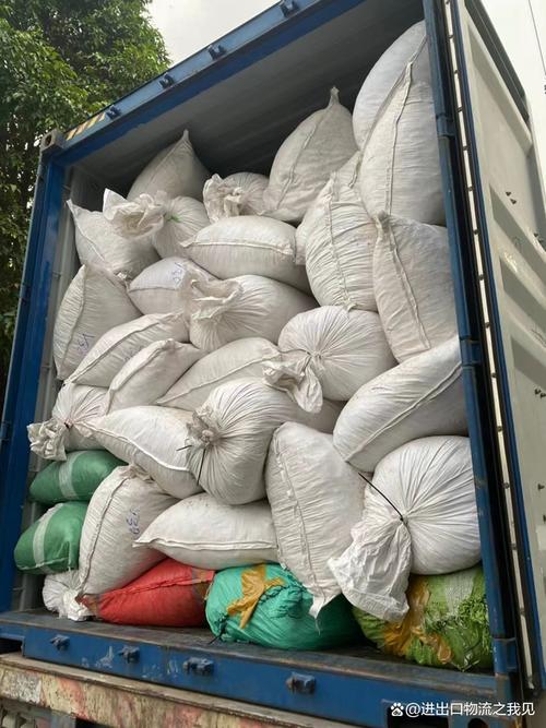 为越南货物进出口运输需求和运力供给者提供各种运输服务业务的总称